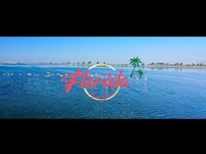 Florida Sunshine by Awol and Zac Blac